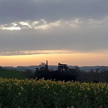 Domaine De Bole , 콩돔